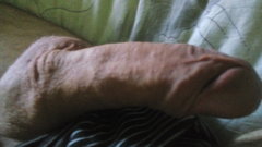 20170601_065046.jpg