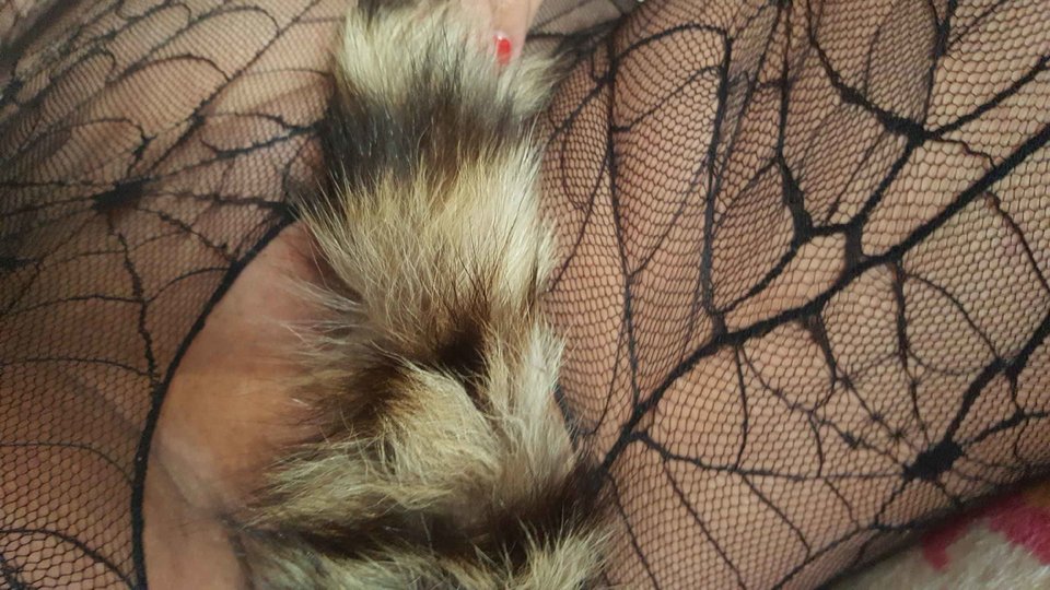 Resized_20170530_190840.jpeg - sexkoliberki