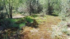 IMG_20170603_123206.jpg