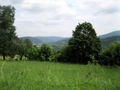 IMG_0180.JPG