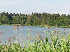 20170606_182949.jpg