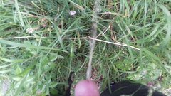 20170608_051446.jpg