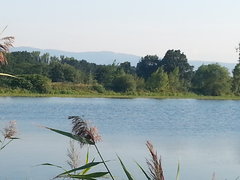 20150821_175943.jpg