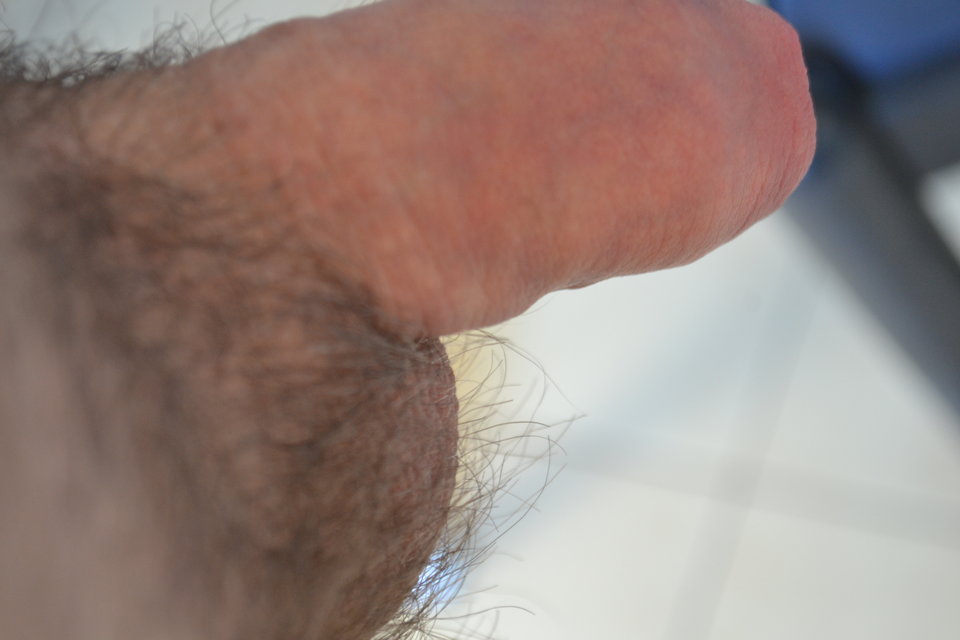 DSC_0063.JPG - fazer1