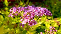 20170610_151642.jpg