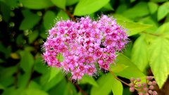 20170610_151608.jpg