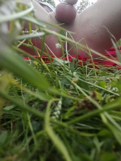 IMG_20170611_124318.jpg
