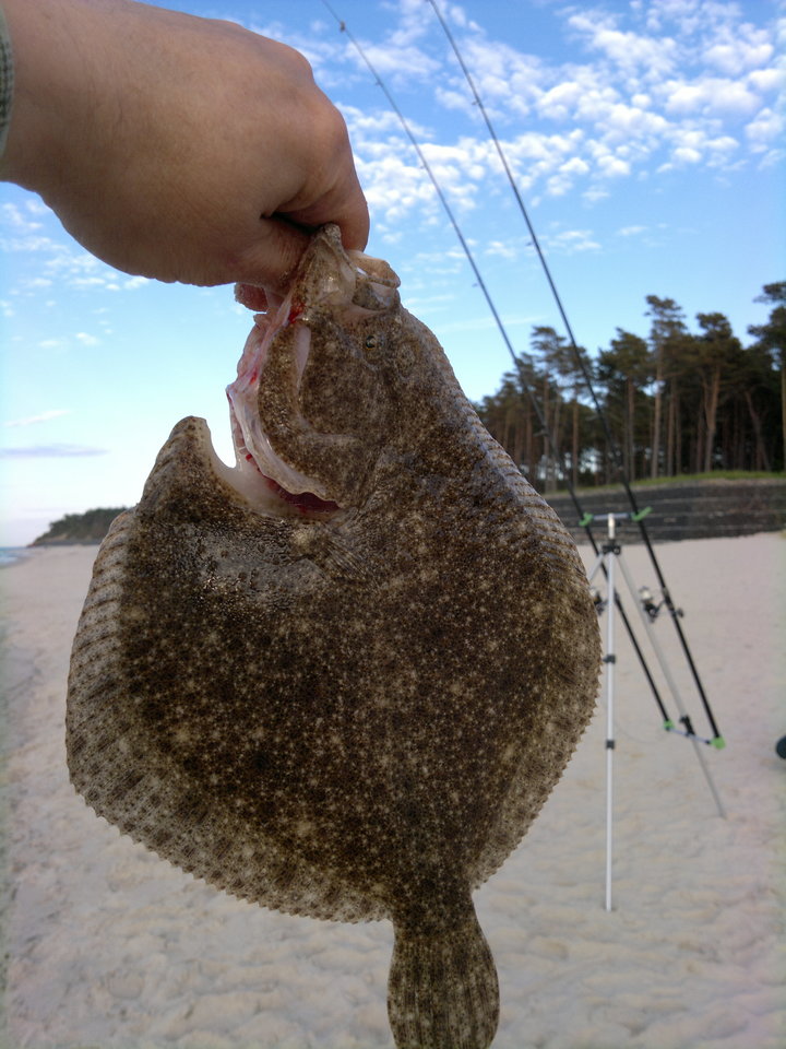 26052012062.jpg - hoop1
