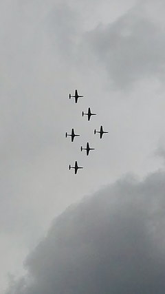 IMG_20170613_142719.jpg