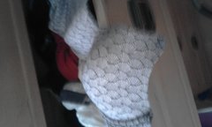 20170614_094118.jpg