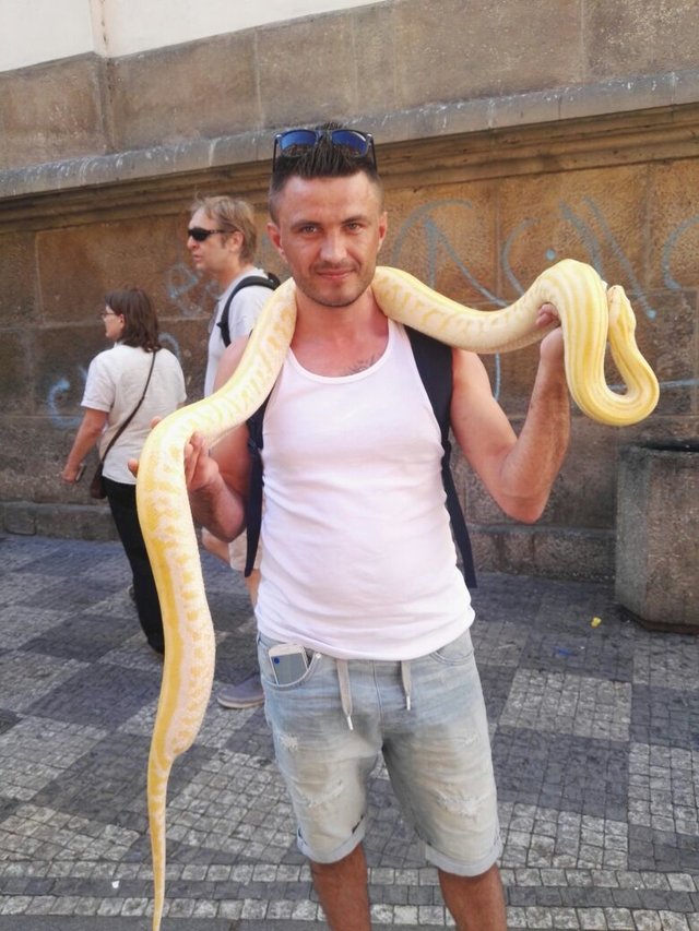 idealny_jezyczek