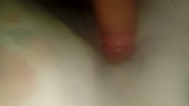 Tomci