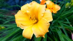 20170617_072948.jpg