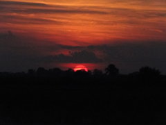 DSC05581.JPG