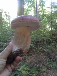 20151002_130131.jpg