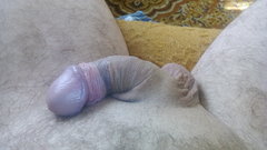 IMG_20170619_173138.jpg