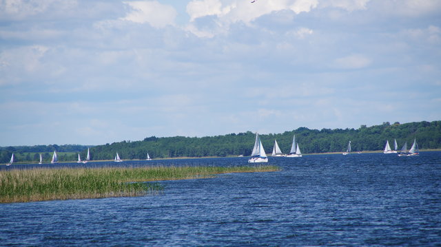Ja175