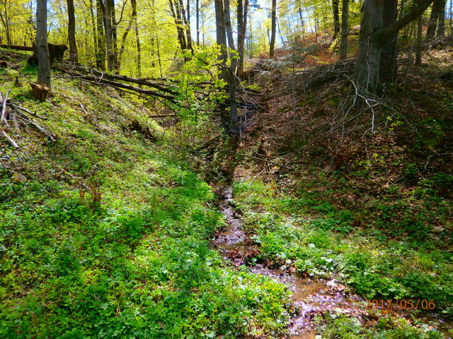 czlowiekmaska