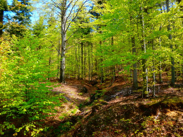 czlowiekmaska