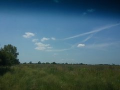 20170620_115659.jpg