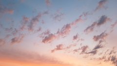 20170621_040753.jpg