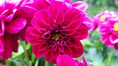 20170622_175431.jpg