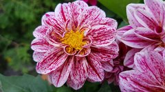 20170622_175532.jpg