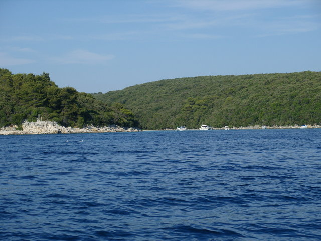 parapuch