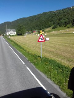 20170624_103630.jpg