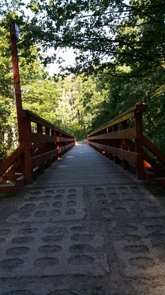 20170625_073942.jpg