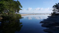 20170625_073752.jpg