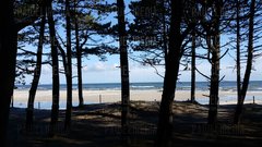 20170625_073523.jpg