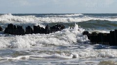 20170625_074431.jpg