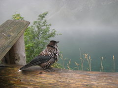 IMG_5456.JPG