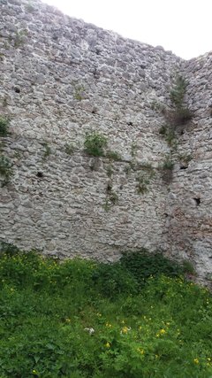 20150115_035956.jpg
