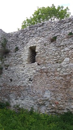 20150115_040001.jpg