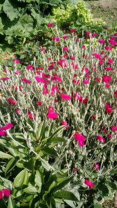 20170625_164024.jpg