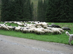 IMG_5625.JPG