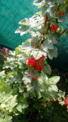 20170625_164246.jpg