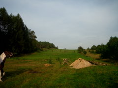 DSCI3557.JPG
