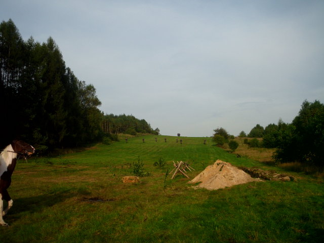 krakusek55