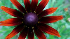 20170626_190732.jpg