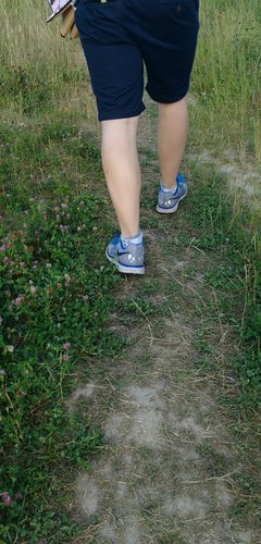 IMG_20170626_214136.jpg