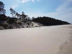 20170521_142229.jpg