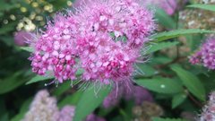 20170621_094933.jpg