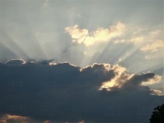 IMG_20170627_053219.jpg