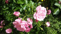 20170611_145647.jpg