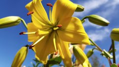 20170629_150139.jpg