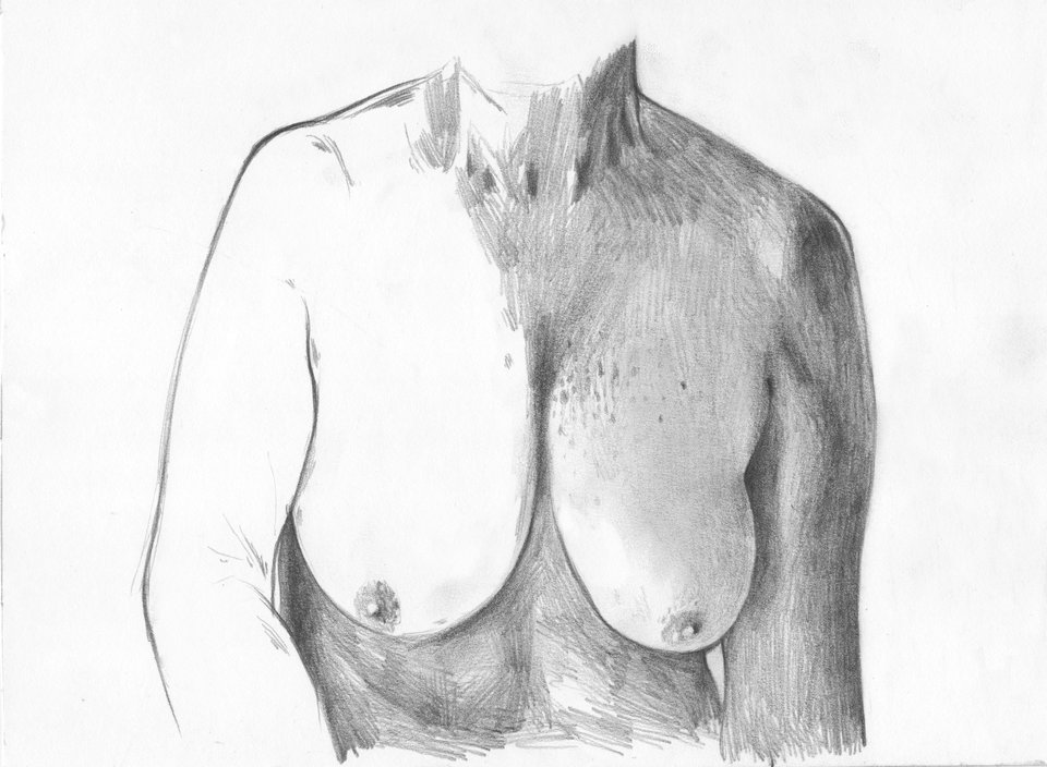 Akt - Wilczomlecz