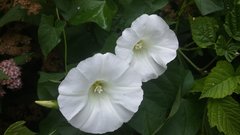20170701_101016.jpg